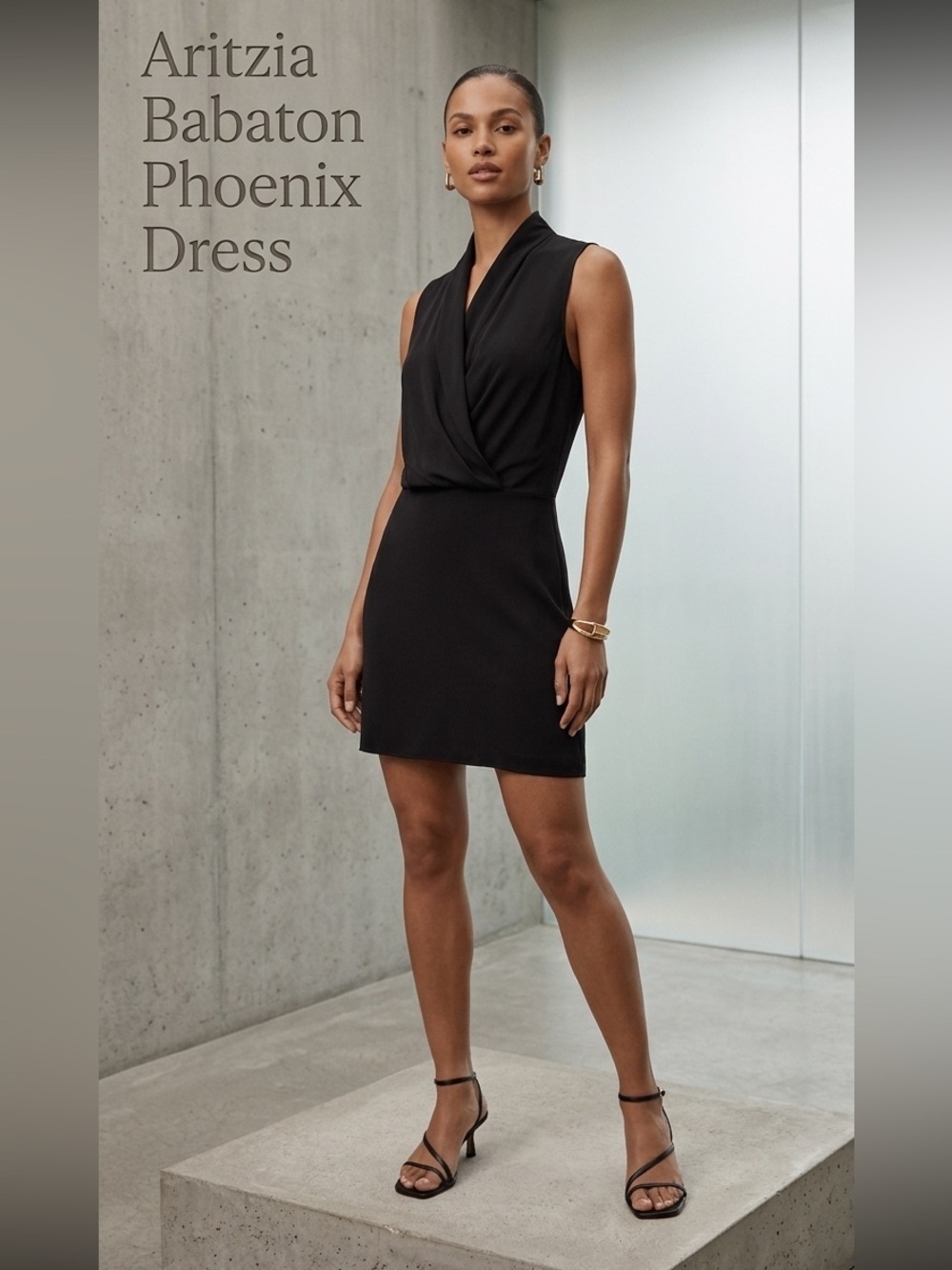 Babaton Phoenix Black Dress Size 4